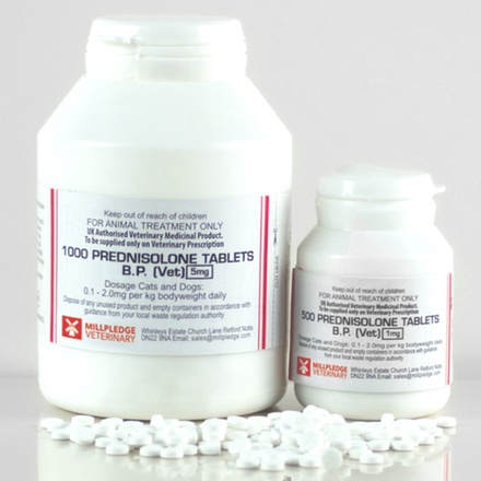 prednisolone