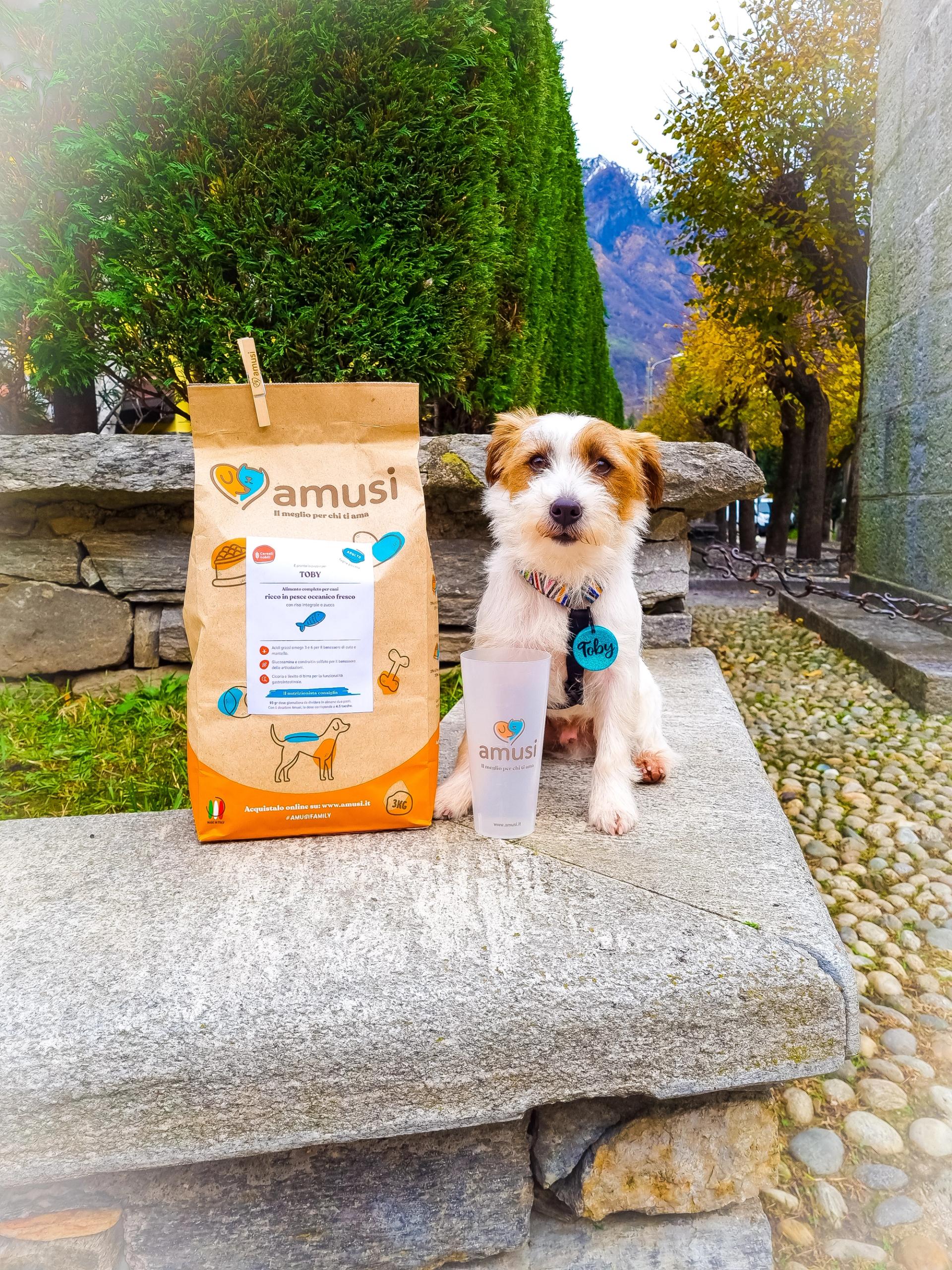 Jack Russel alimentazione